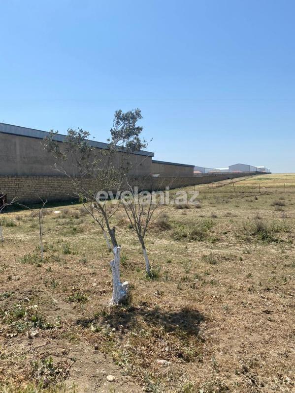 Sale, land, 500 ar, Absheron r.