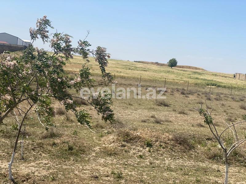 Sale, land, 500 ar, Absheron r.