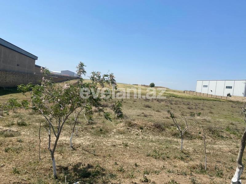 Sale, land, 500 ar, Absheron r.
