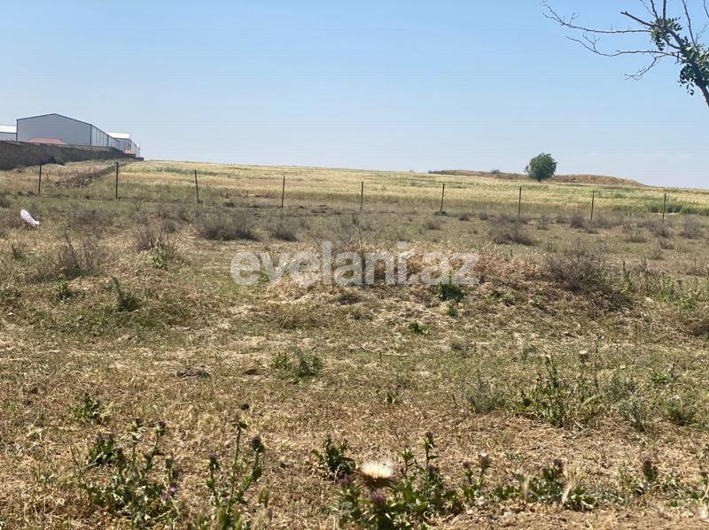 Sale, land, 500 ar, Absheron r.