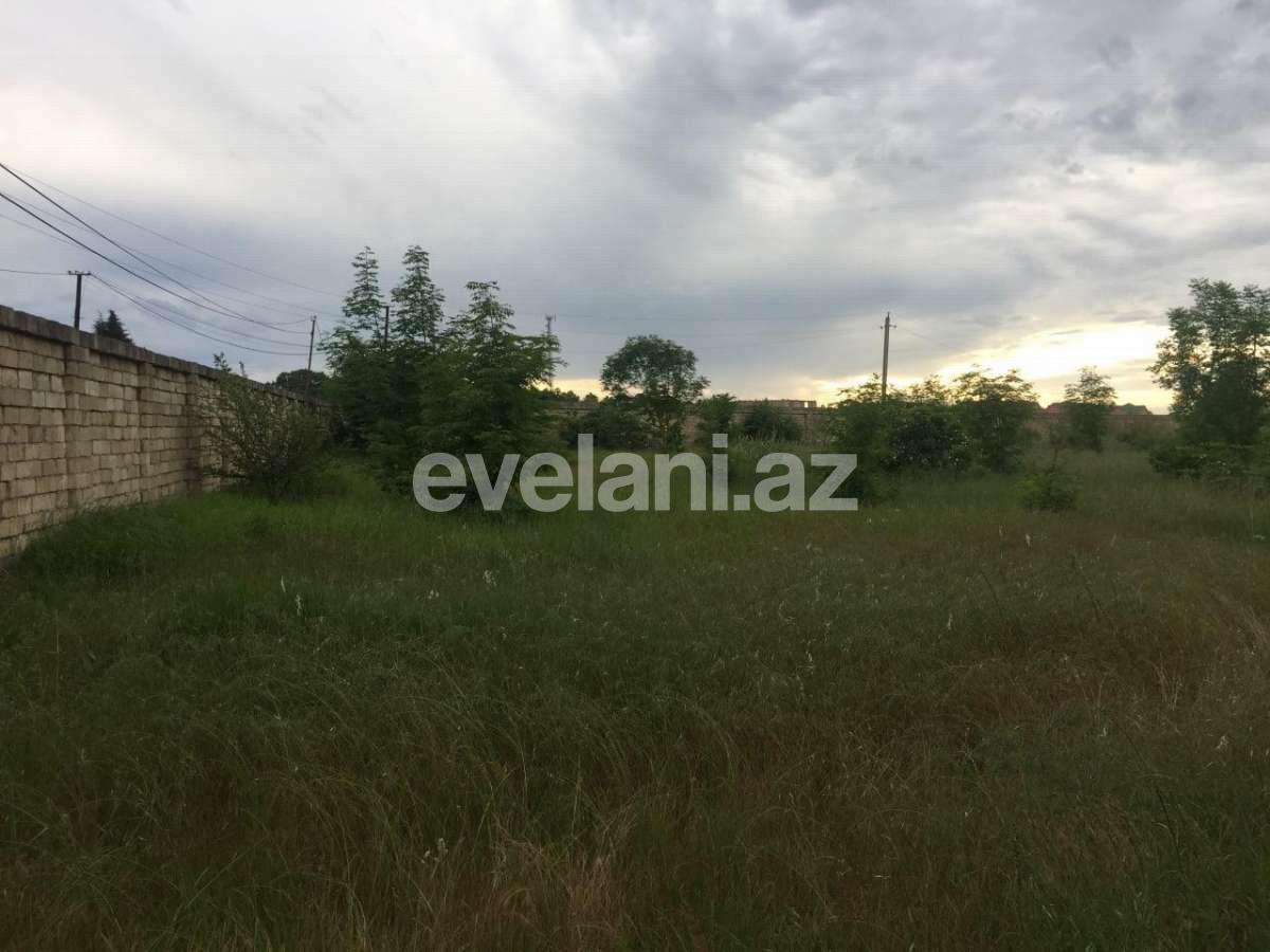 Satılır, torpaq, 75 sot, Xaçmaz