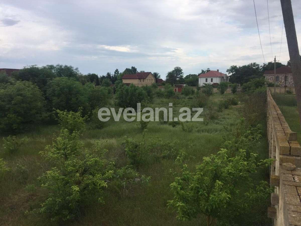 Satılır, torpaq, 75 sot, Xaçmaz