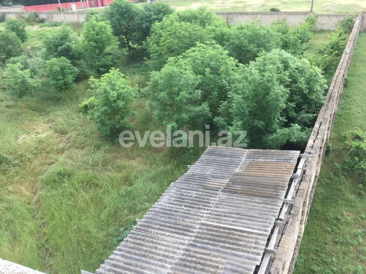 Satılır, torpaq, 75 sot, Xaçmaz