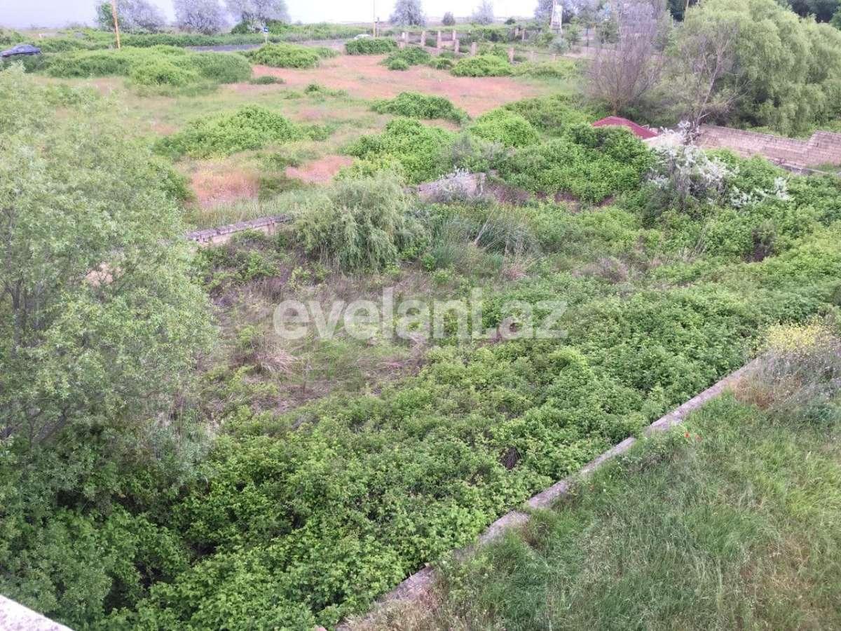 Satılır, torpaq, 75 sot, Xaçmaz