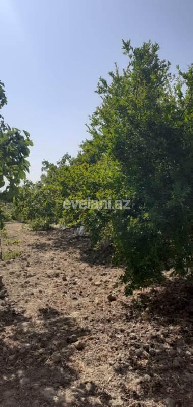 Satılır, villa, 4 otaqlı, 250 m², Görədil q.