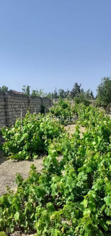 Satılır, villa, 4 otaqlı, 250 m², Görədil q.