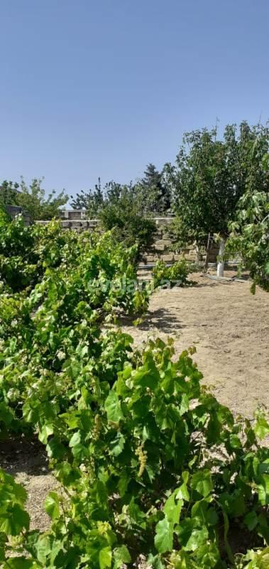 Satılır, villa, 4 otaqlı, 250 m², Görədil q.