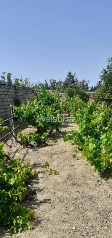 Satılır, villa, 4 otaqlı, 250 m², Görədil q.