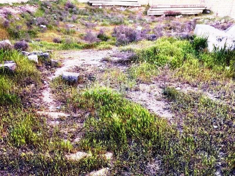 Satılır, torpaq, 11 sot, Badamdar q.