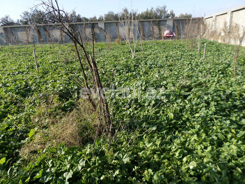 Satılır, torpaq, 47 sot, Şüvəlan q.