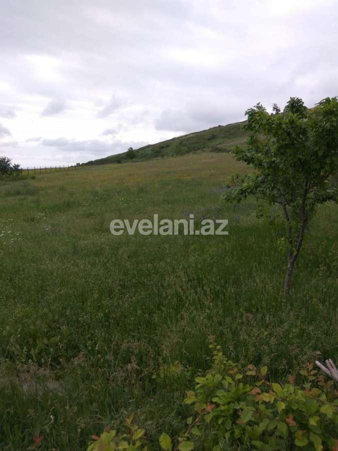 Satılır, torpaq, 40 sot, Şamaxı