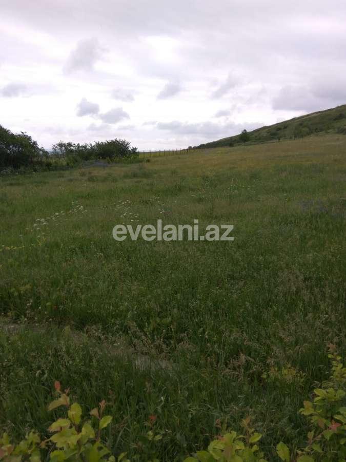 Satılır, torpaq, 40 sot, Şamaxı