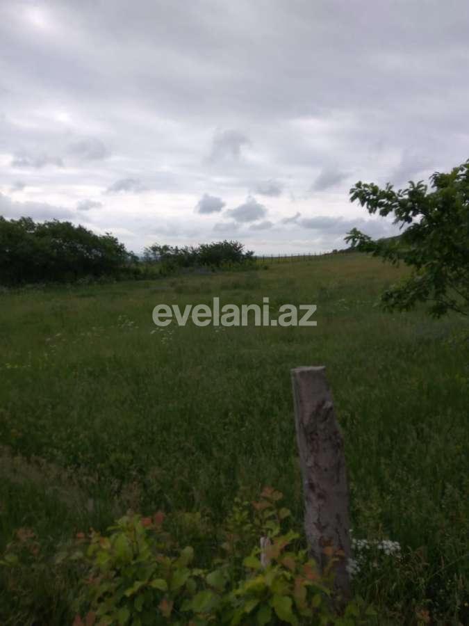 Satılır, torpaq, 40 sot, Şamaxı