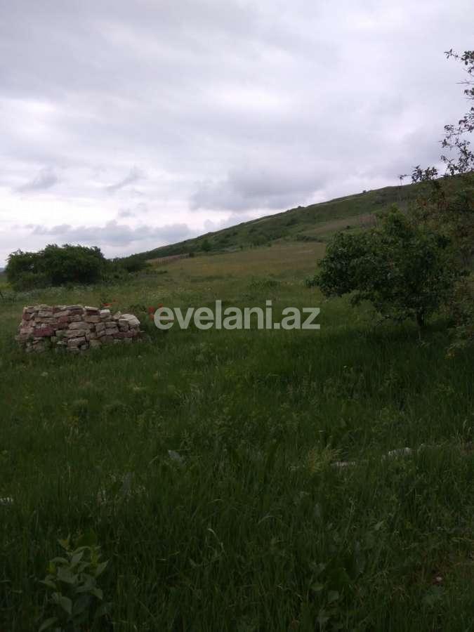 Satılır, torpaq, 40 sot, Şamaxı