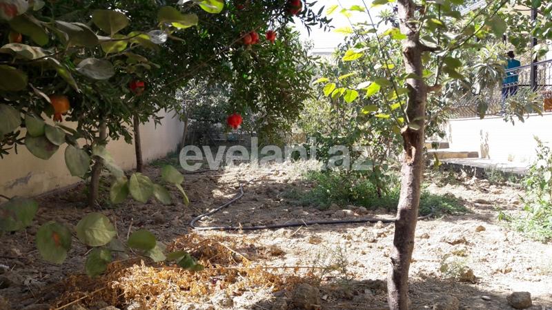 Sale, villa, 6 room, 250 m², Badamdar d.