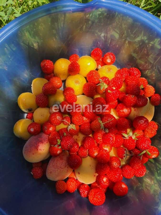 Satılır, həyət evi / bağ, 7 otaqlı, 220 m², Həzi Aslanov m.