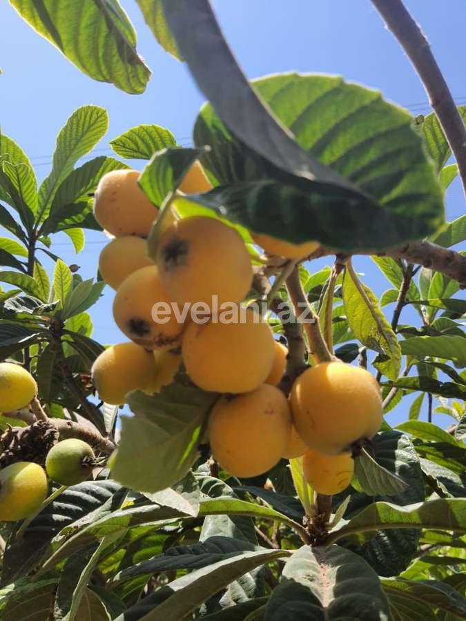 Satılır, həyət evi / bağ, 7 otaqlı, 220 m², Həzi Aslanov m.