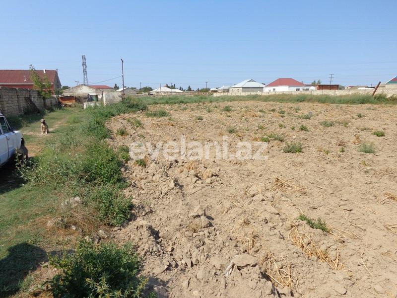 Sale, land, 55 ar, Mashtaga d.
