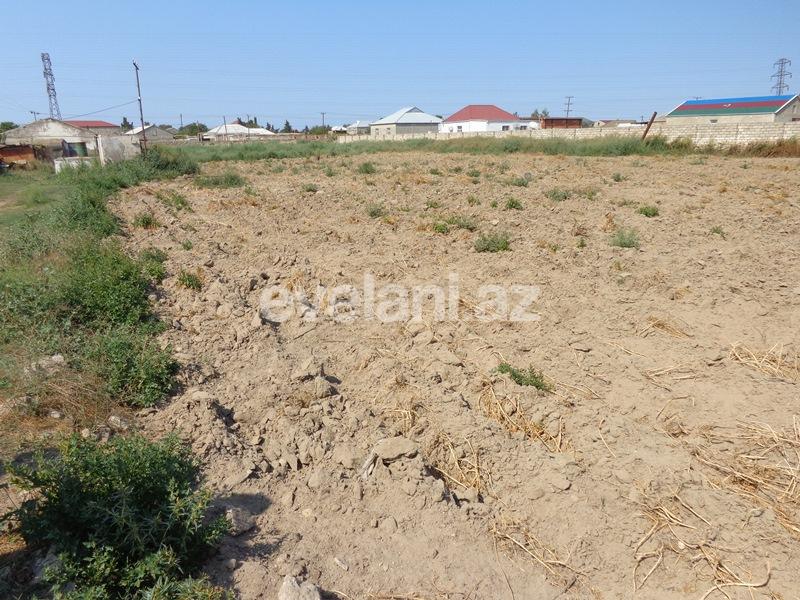 Sale, land, 55 ar, Mashtaga d.