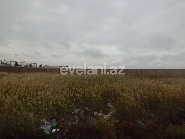 Satılır, torpaq, 200 sot, Qaradağ r.