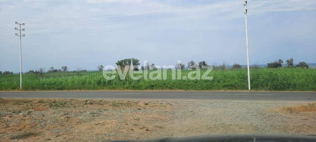 Satılır, torpaq, 1200 sot, Xaçmaz