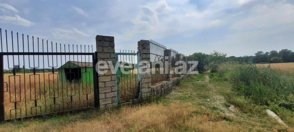 Satılır, torpaq, 1200 sot, Xaçmaz