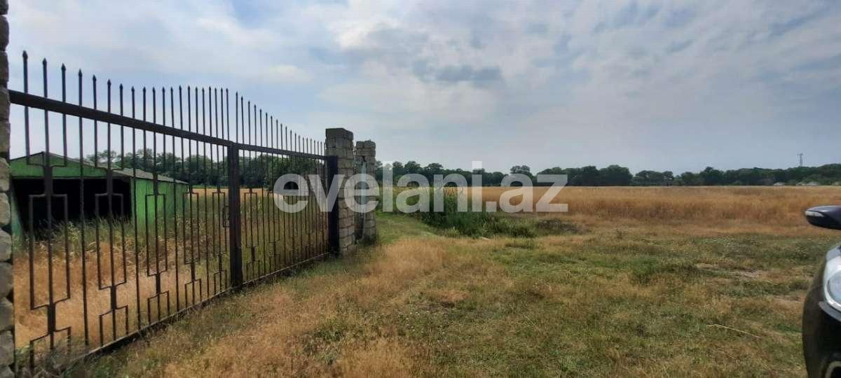 Satılır, torpaq, 1200 sot, Xaçmaz