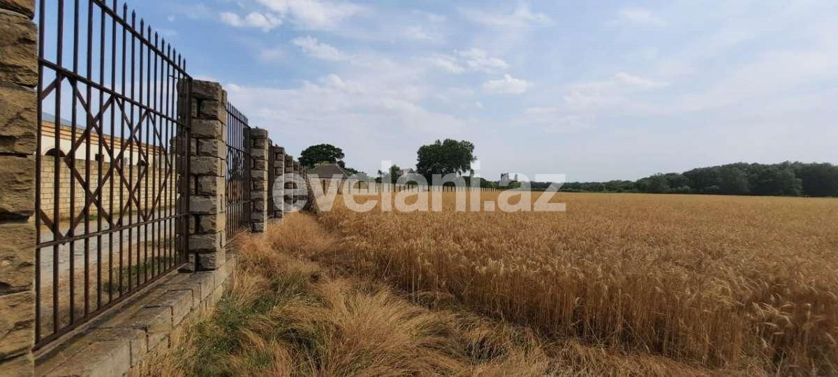 Satılır, torpaq, 1200 sot, Xaçmaz