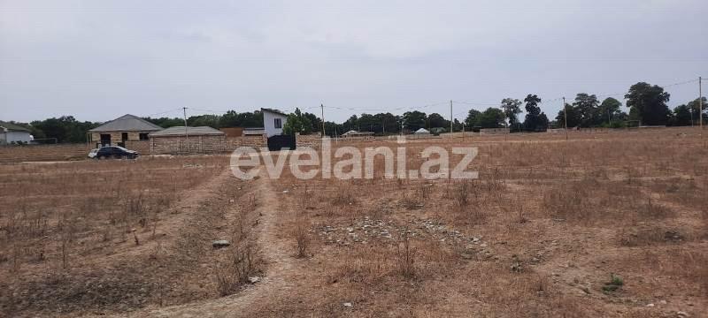 Satılır, torpaq, 6 sot, Xaçmaz