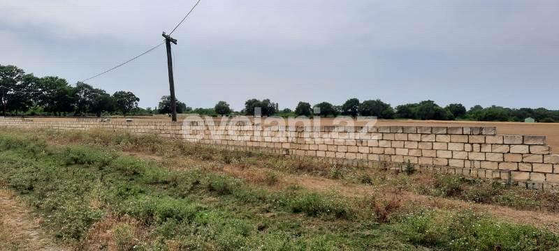 Satılır, torpaq, 500 sot, Xaçmaz