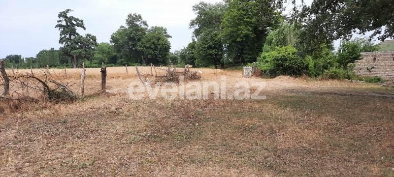 Satılır, torpaq, 500 sot, Xaçmaz