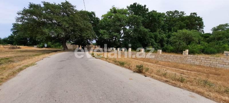 Satılır, torpaq, 500 sot, Xaçmaz