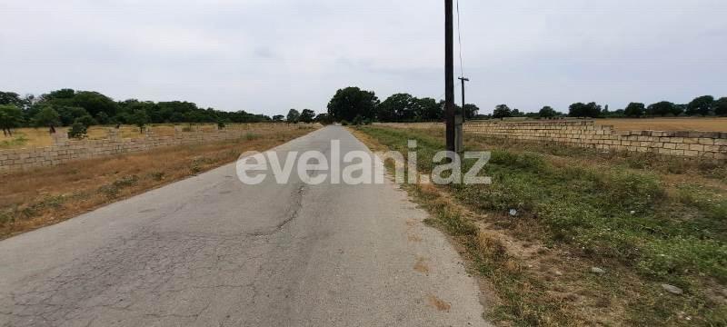 Satılır, torpaq, 500 sot, Xaçmaz