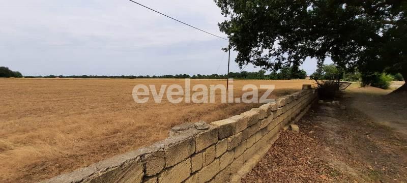 Satılır, torpaq, 500 sot, Xaçmaz