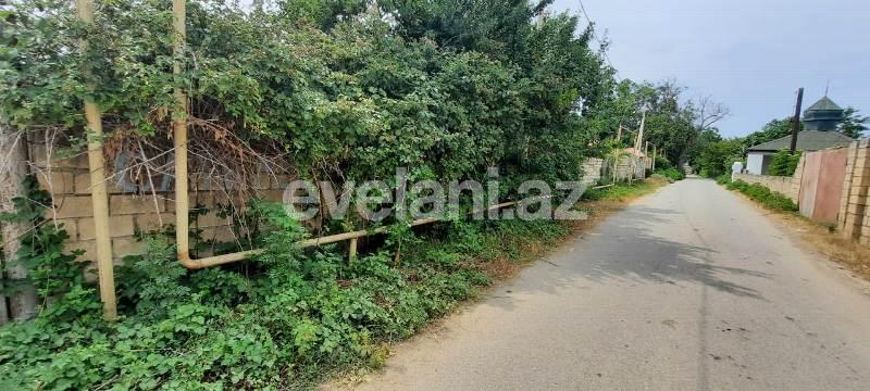 Satılır, torpaq, 6 sot, Xaçmaz