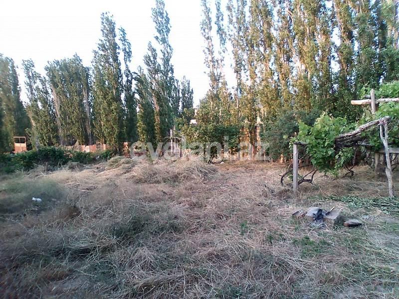 Satılır, torpaq, 6 sot, Xaçmaz