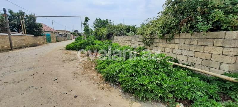 Satılır, torpaq, 6 sot, Xaçmaz