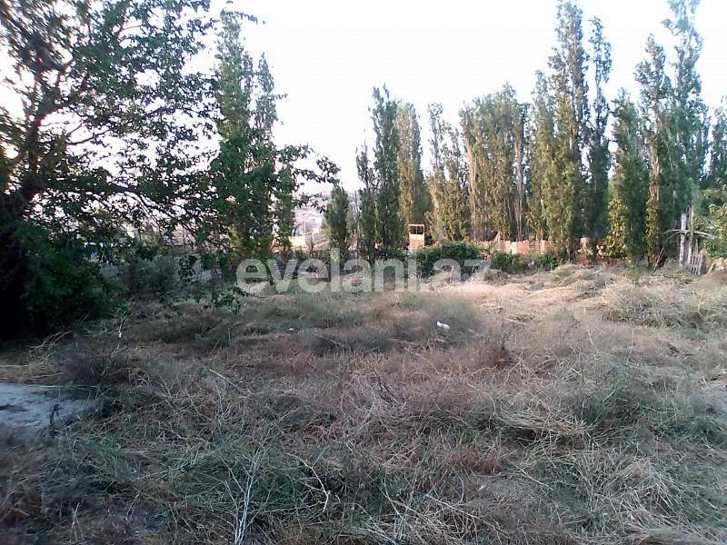 Satılır, torpaq, 6 sot, Xaçmaz