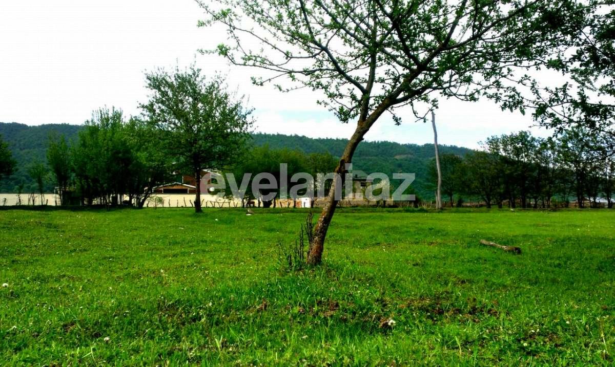 Satılır, torpaq, 430 sot, Quba