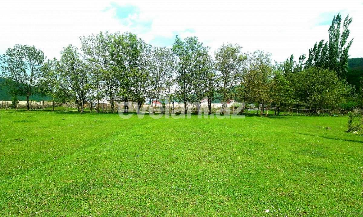 Satılır, torpaq, 430 sot, Quba