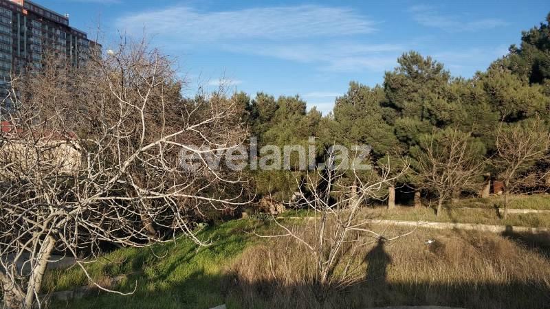 Satılır, torpaq, 30 sot, Badamdar q.