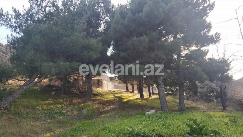 Satılır, torpaq, 30 sot, Badamdar q.