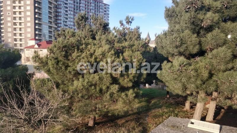 Satılır, torpaq, 30 sot, Badamdar q.