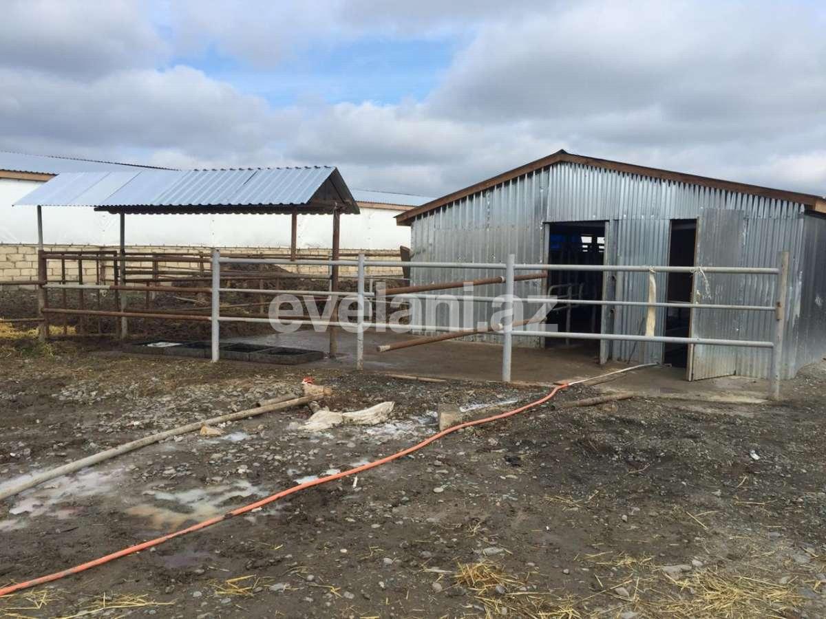 Satılır, obyekt, 1000 m², Hacıqabul