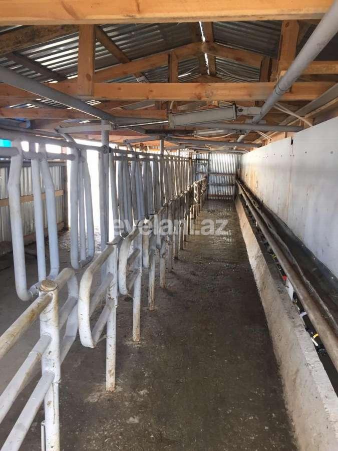 Satılır, obyekt, 1000 m², Hacıqabul