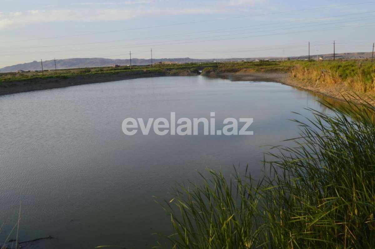 Satılır, obyekt, 1000 m², Hacıqabul