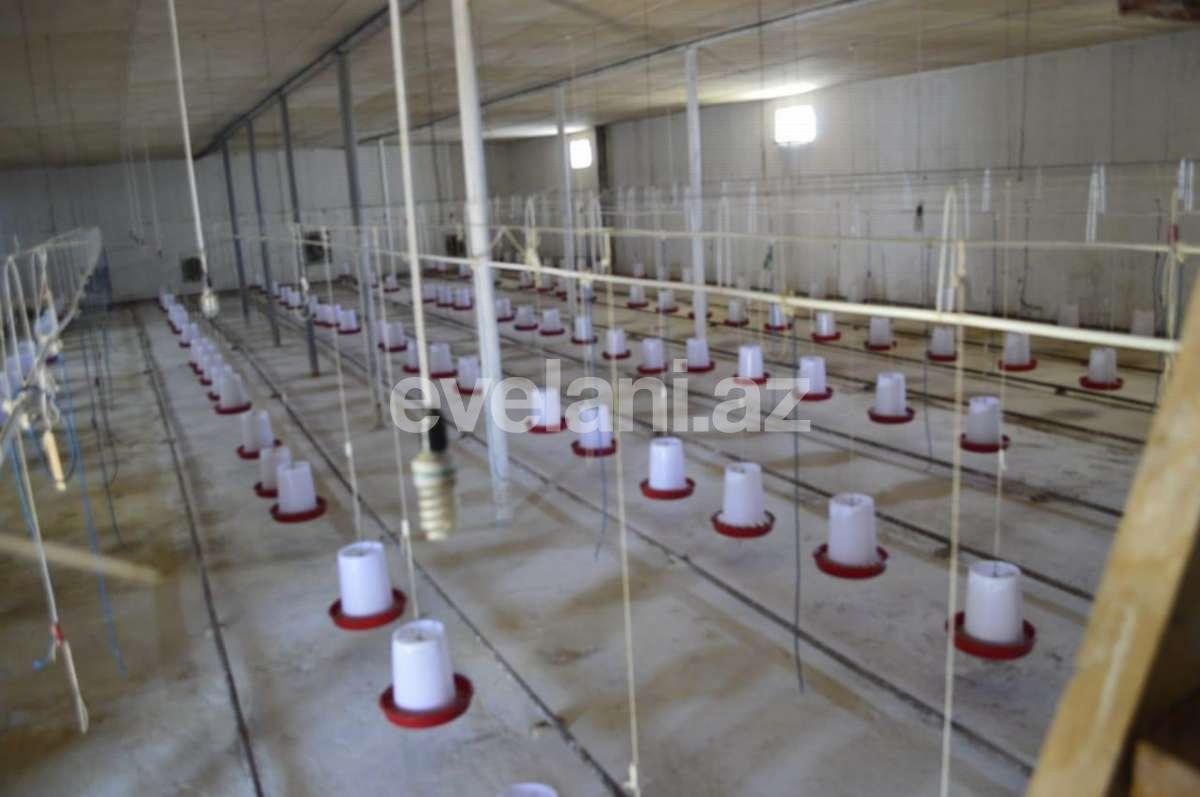 Satılır, obyekt, 1000 m², Hacıqabul