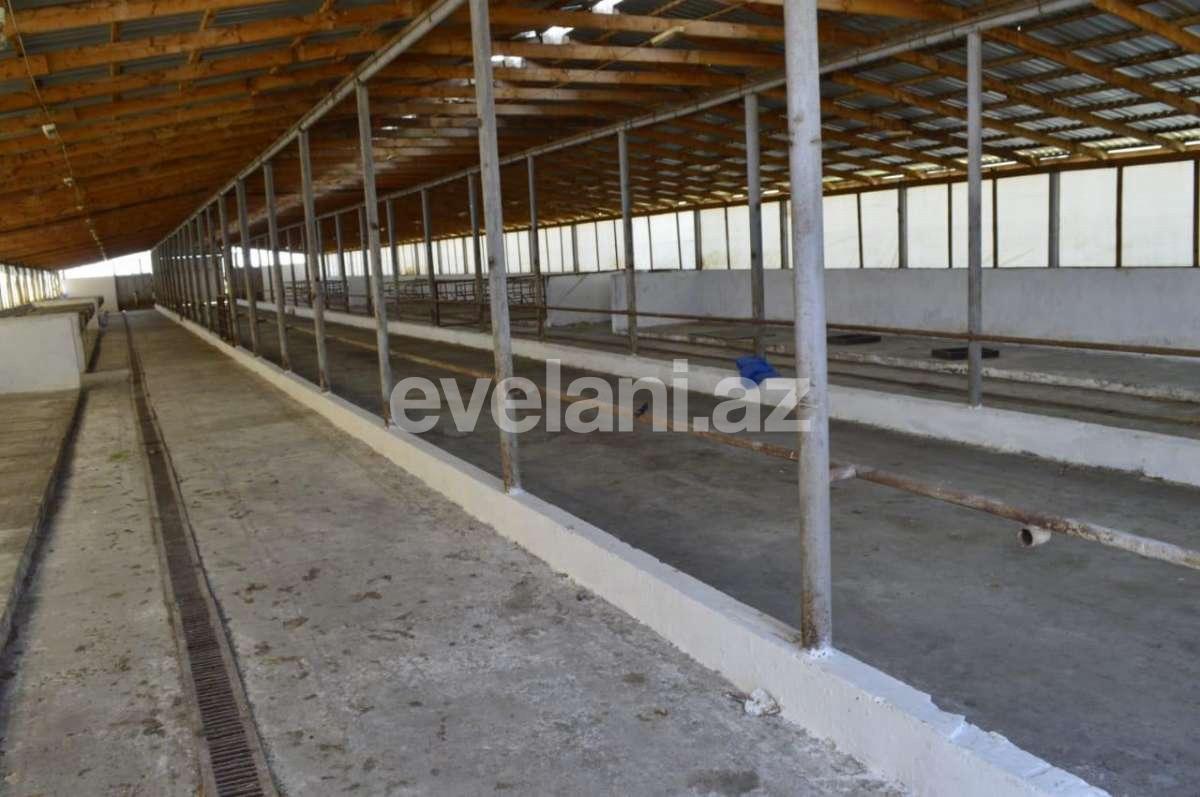 Satılır, obyekt, 1000 m², Hacıqabul