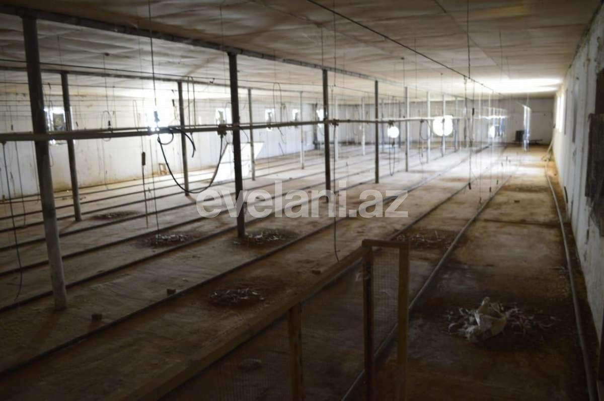 Satılır, obyekt, 1000 m², Hacıqabul