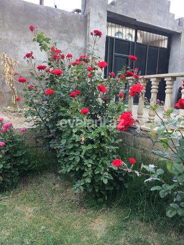 Satılır, torpaq, 7 sot, Nəsimi m.